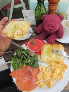 BBear about to indulge in breakfast - scrambled eggs, salmon and salad.  In the small glass bowl is tomato puree used as a spread on toast.