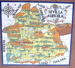 Sixty six hand painted tiles making up a map of the autonomous region of Andalusia. 