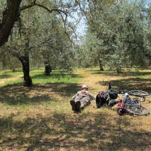 Having a blow (rest) in the olive grove. 