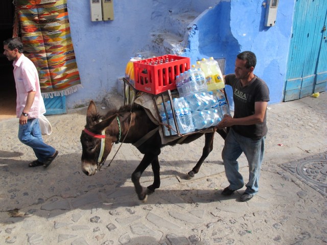 Ancient transport, bringing in 21st century goods. 