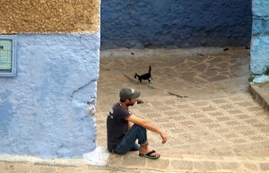 Young man and a cat. Note how clean the surrounding footpaths are.