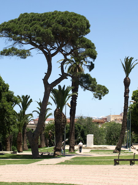 Open spaces adjacent to the Grand Socco. 