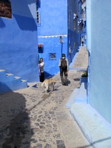 The friendly hound following me after the walk to the Spanish Mosque.