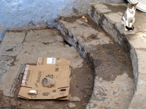 Cardboard cover, a rock and a cat. 