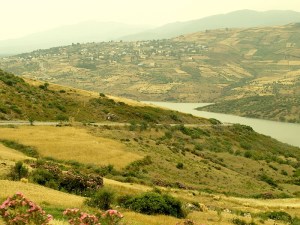 On the road to Chefchaouen. The tinted and dirty window of the bus gives this photo a special appeal. 