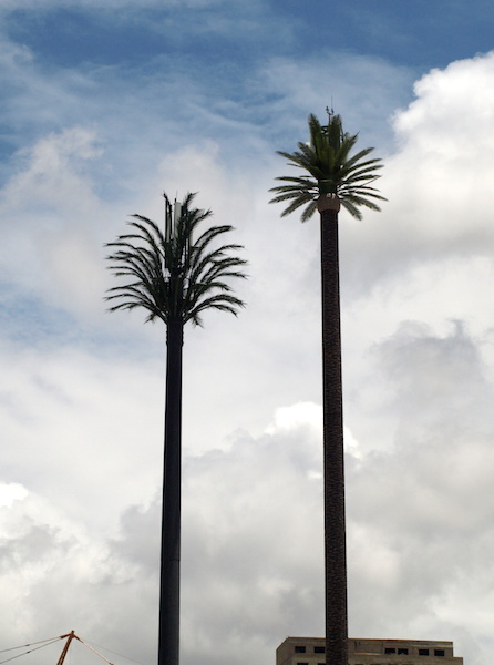 Twin artificial palm tree mobile phone towers. 