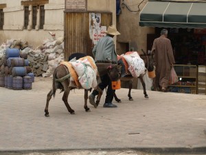 A couple of donkeys with supplies heading into the covered markets. 