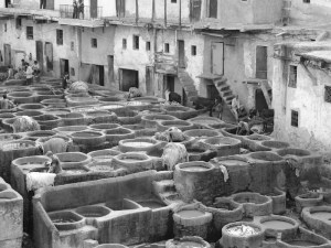 The tannery curing pits 2015. 