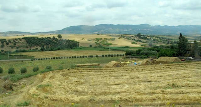 A view of productive lands from the train between Fez and Casablanca. 