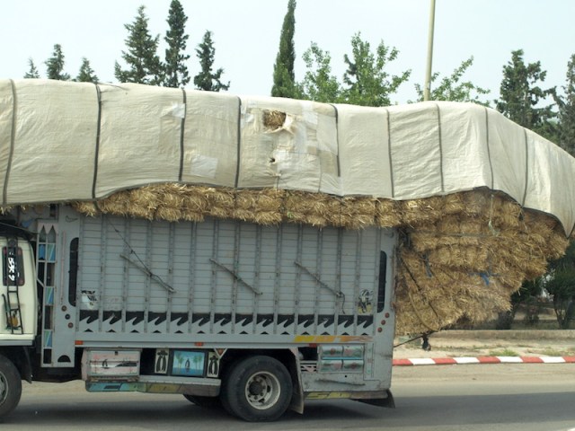 An overloaded truck carting hay. It’s a tricky load as the overhanging bails were supported by ropes only. 