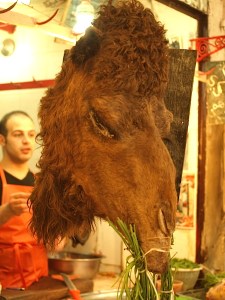 Camel head soup coming up. 