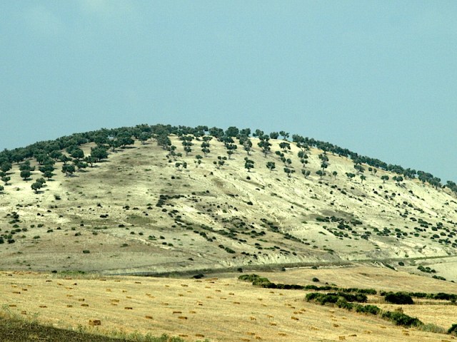 Revegetating an eroded clay hill. Moroccan people are doing their best to plant trees that will enhance their future and bring food security. There is a program to plant a billion trees. 