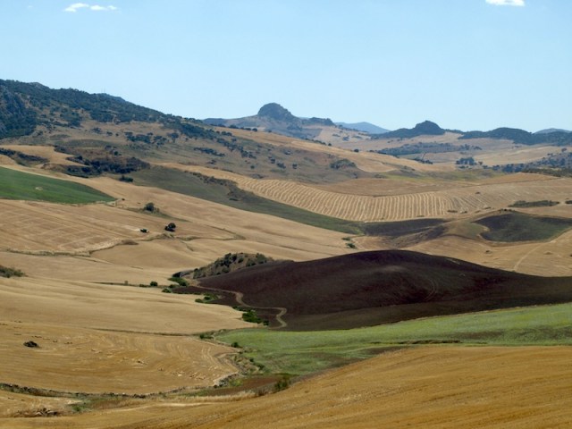 Countryside between Algeciras and Cordoba. Despite the dirty windows of the train the above image is reasonable. The soil I would describe as chocolate loam, good for the growing of potatoes. 
