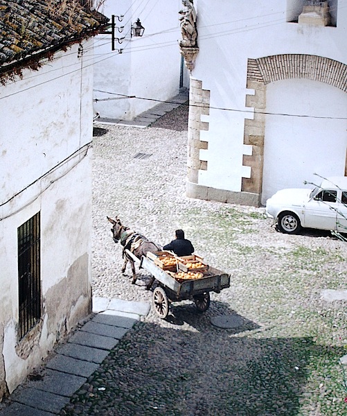 The 1973 view from the balcony. Note the angel statue on the corner of the church directly above the donkey cart driver’s head. 