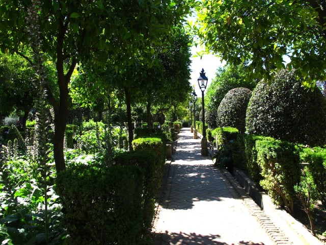 37 Alcazar garden