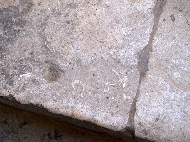 Limestone kerb, marine skeletons in the stone can be easily discerned. 