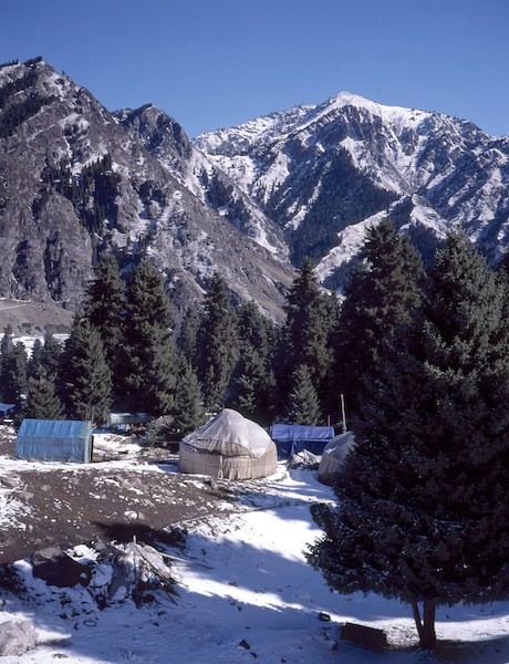 Yurt living near the Heavenly Mountains. 