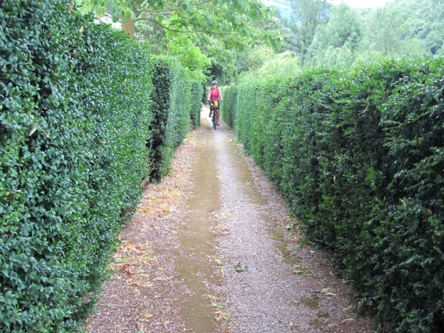 A much cared for path in the village of Ouyre. 