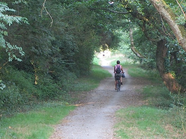 An Arthur Conan Doyle road. 