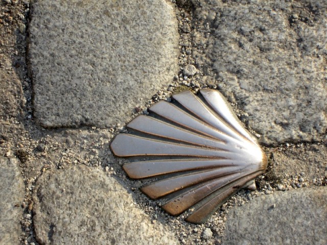  A bronze scallop shell in the footpath in Limoges indicating the pilgrims’ way. 