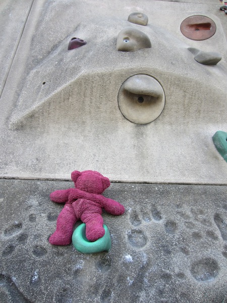 Even BBear has a go at climbing the Limoges wall.